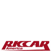 Riccar Vacuum Belts