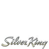 Silver King Vacuum Filters