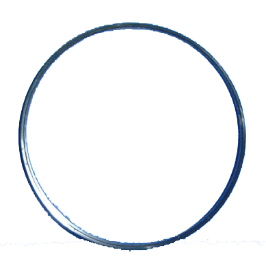 FilterQueen 2769000101 Retainer, Ring, For Filter Disc